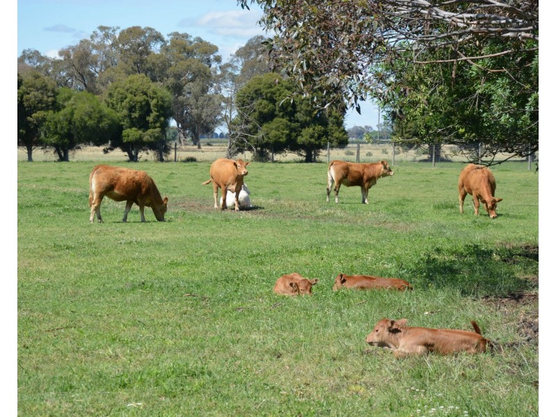 1724 Larissa Road, Yarroweyah VIC 3644