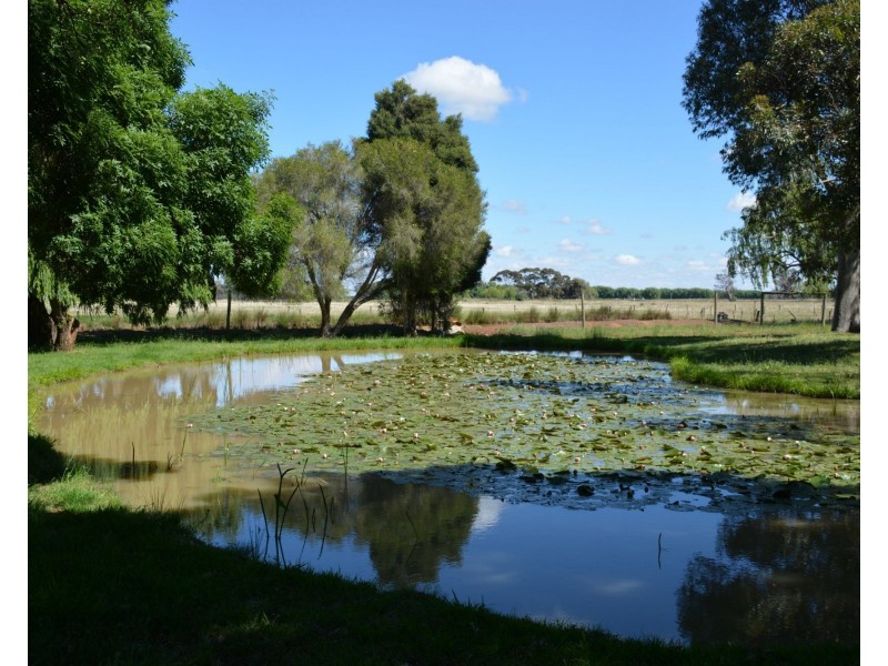 1724 Larissa Road, Yarroweyah VIC 3644