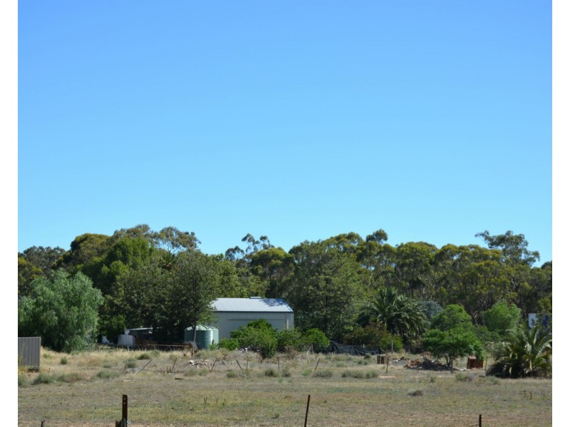 Tocumwal NSW 2714