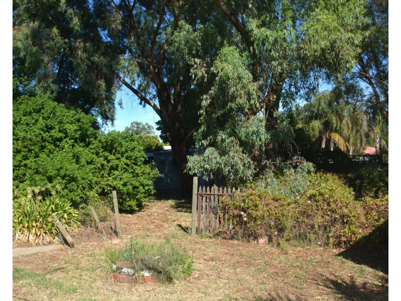 20 Howard Street, Barooga NSW 3644