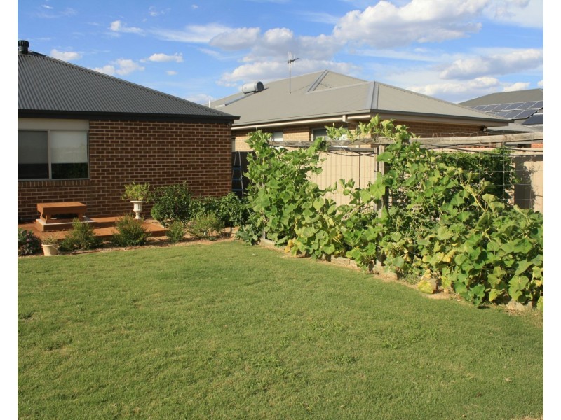 31 Bisogni Drive, Cobram VIC 3644