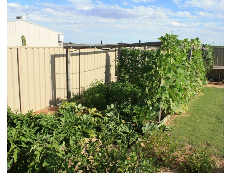 31 Bisogni Drive, Cobram VIC 3644