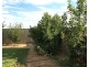 31 Bisogni Drive, Cobram VIC 3644
