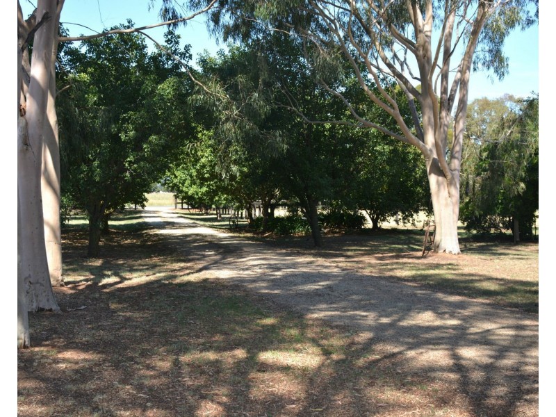 194 Cobram South Road, Cobram VIC 3644