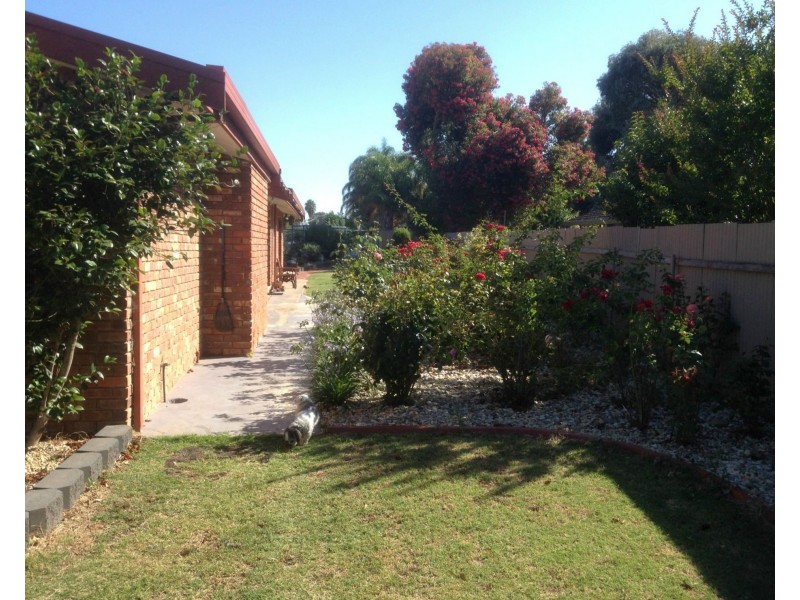 14 Stillard Court, Barooga NSW 3644