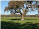 00 Tocumwal-Benalla Road, Koonoomoo VIC 3644