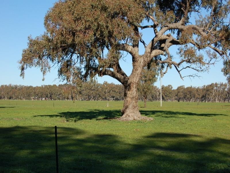 00 Tocumwal-Benalla Road, Koonoomoo VIC 3644