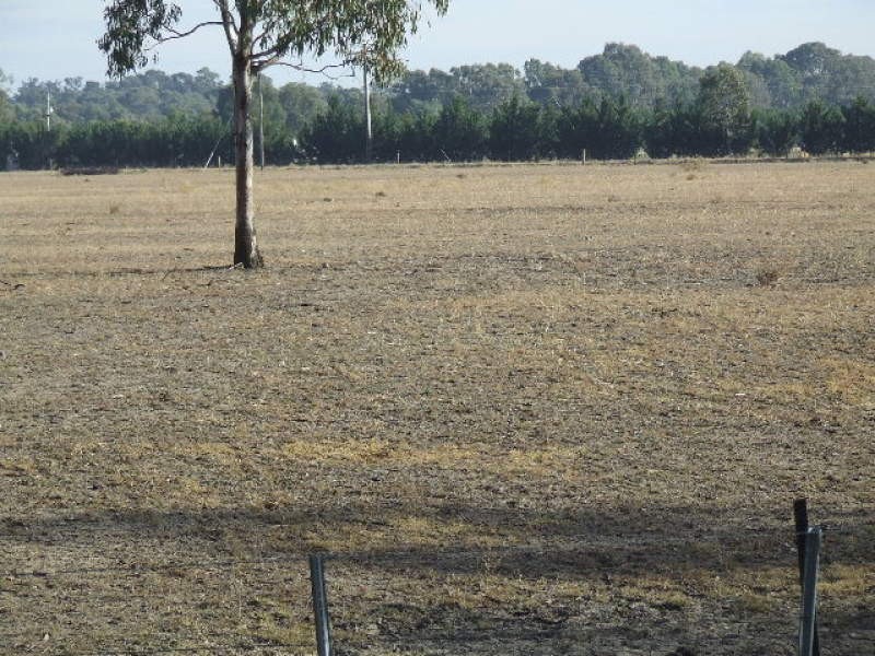 00 Weiss Road, Koonoomoo VIC 3644