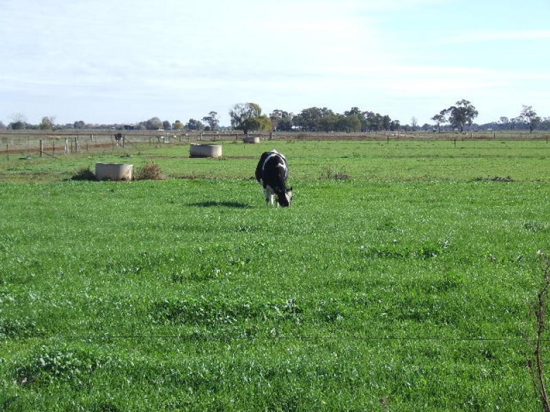 1721 Larissa Road, Yarroweyah VIC 3644