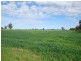 00 Waaii – Bearii Road, Bearii VIC 3641