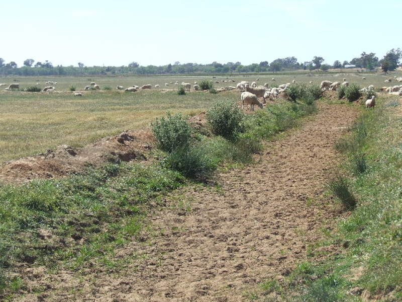 00 Ennals Road, Barooga NSW 3644