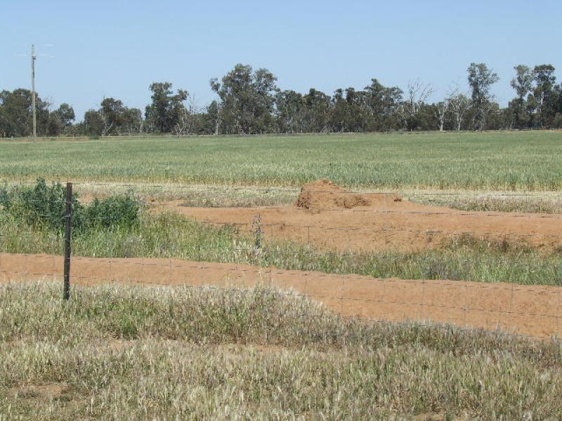 00 Ennals Road, Barooga NSW 3644