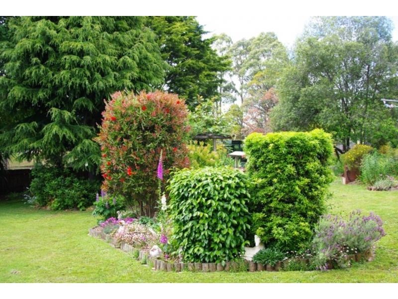 1007 RIDGLEY Highway, Ridgley TAS 7321