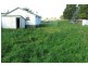 852 RIDGLEY Highway, Ridgley TAS 7321