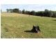 24 Eastleys Road, Riana TAS 7316