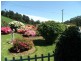 1447 Pine Road, Riana TAS 7316