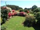1447 Pine Road, Riana TAS 7316