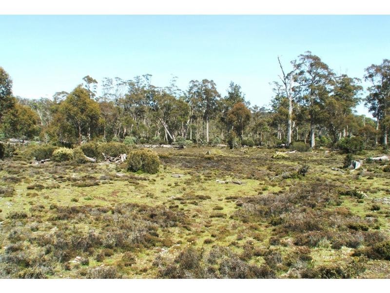 3759 Cradle Mountain Road, Cradle Mountain Road, Cradle Mountain TAS 7306
