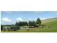 58 Frenchs Road, Riana TAS 7316