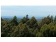 284 Dial Road, Penguin TAS 7316