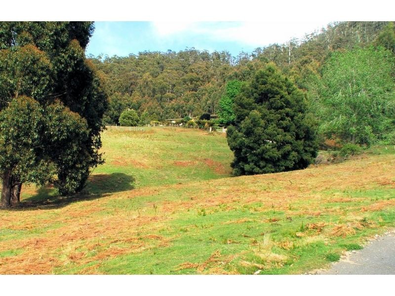 284 Dial Road, Penguin TAS 7316