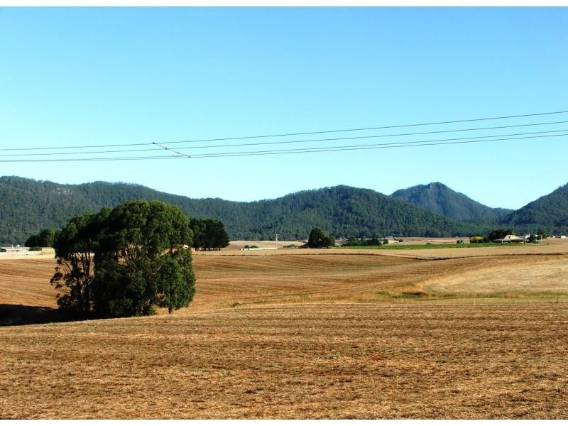 West Pine TAS 7316