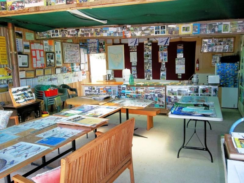 122 Greta Road, UPPER NATONE, TAS 7321, Natone TAS 7321