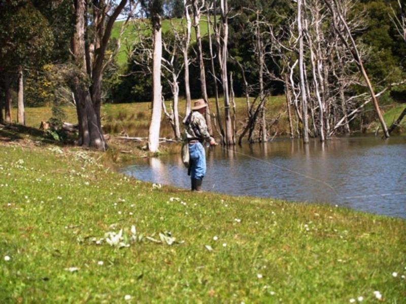 122 Greta Road, UPPER NATONE, TAS 7321, Natone TAS 7321