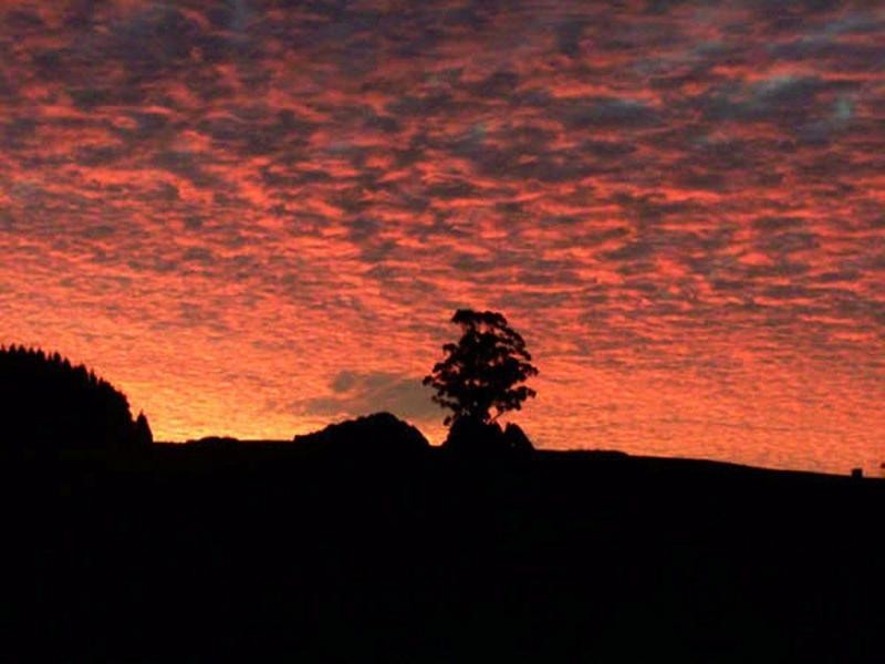 122 Greta Road, UPPER NATONE, TAS 7321, Natone TAS 7321