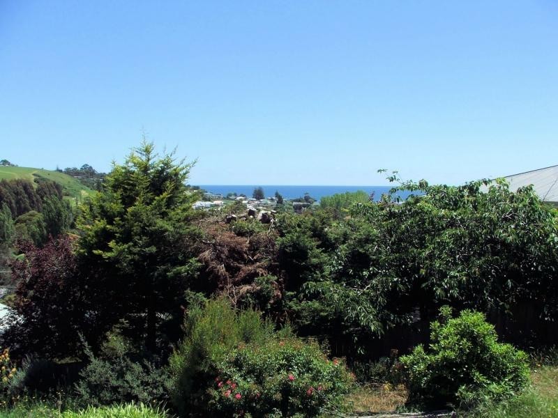 24 Elizabeth Street, Penguin TAS 7316