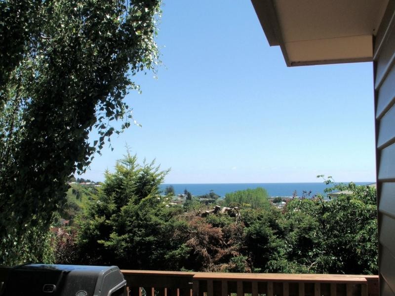 24 Elizabeth Street, Penguin TAS 7316