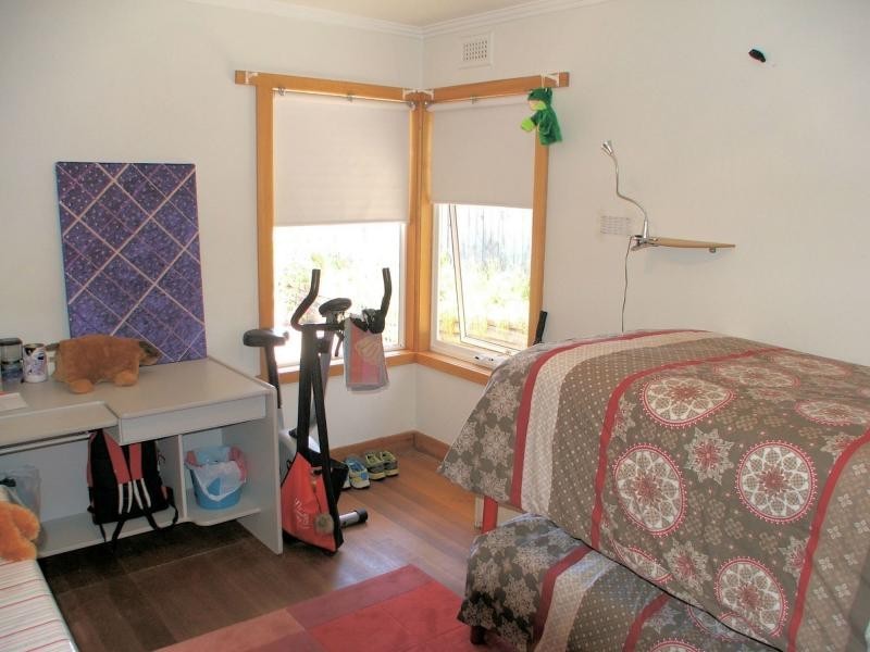 24 Elizabeth Street, Penguin TAS 7316