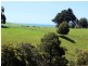 95a White Hills Road, Penguin TAS 7316