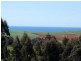 95a White Hills Road, Penguin TAS 7316