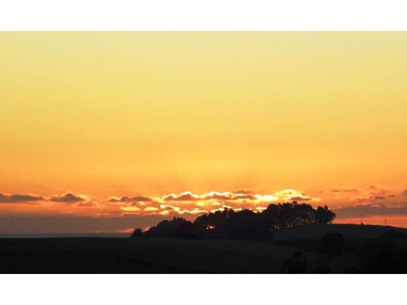 95a White Hills Road, Penguin TAS 7316