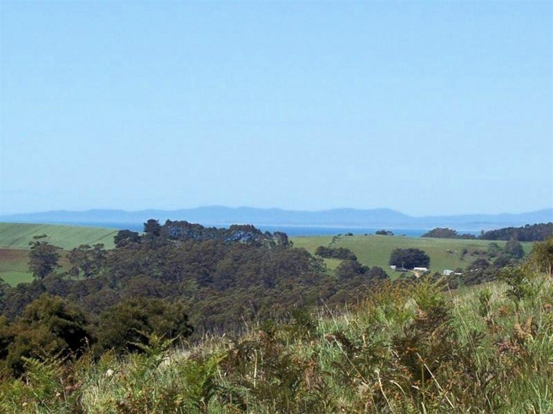 95a White Hills Road, Penguin TAS 7316