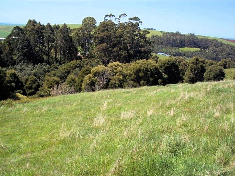 95a White Hills Road, Penguin TAS 7316