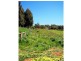 95a White Hills Road, Penguin TAS 7316