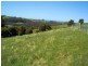 95a White Hills Road, Penguin TAS 7316