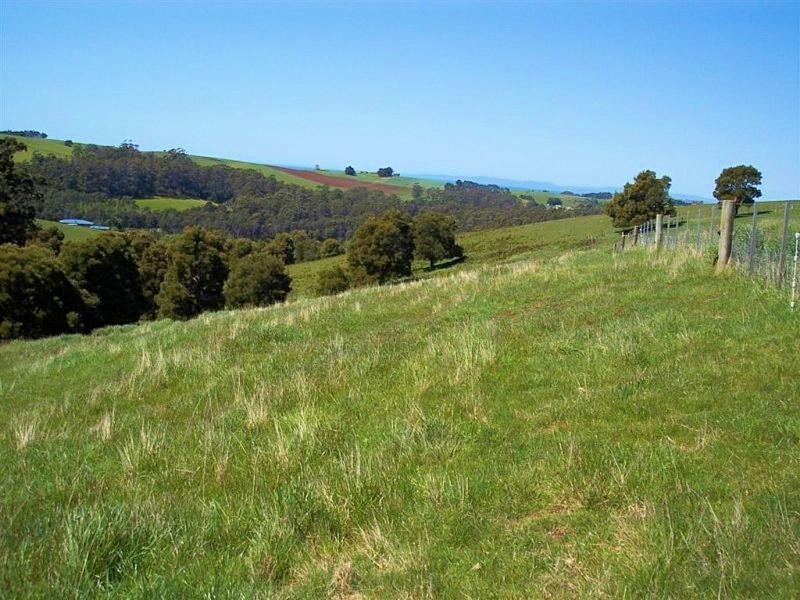 95a White Hills Road, Penguin TAS 7316