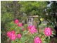 290 Dial Road, Penguin TAS 7316