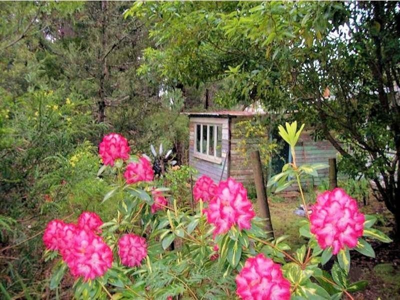 290 Dial Road, Penguin TAS 7316