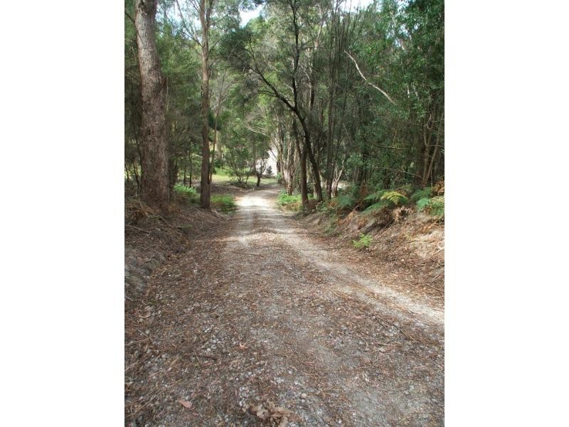 290 Dial Road, Penguin TAS 7316