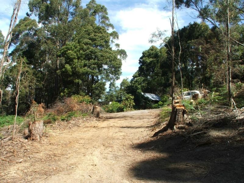 290 Dial Road, Penguin TAS 7316