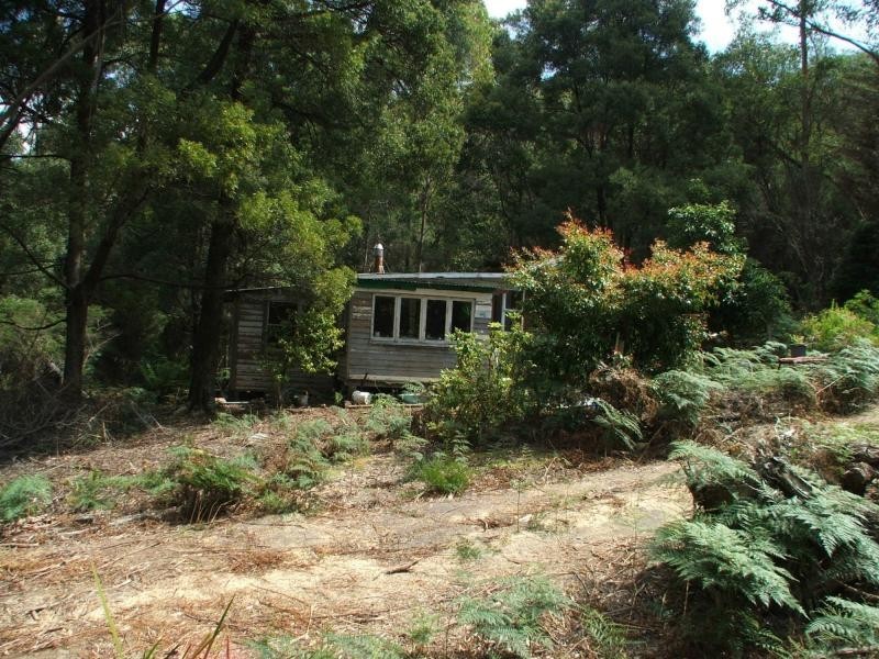 290 Dial Road, Penguin TAS 7316