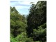 290 Dial Road, Penguin TAS 7316