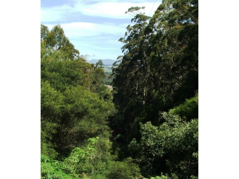290 Dial Road, Penguin TAS 7316