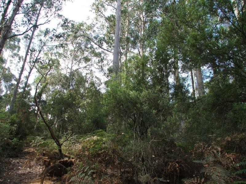 290 Dial Road, Penguin TAS 7316