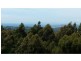 284 Dial Road Road, Penguin TAS 7316