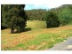 284 Dial Road Road, Penguin TAS 7316